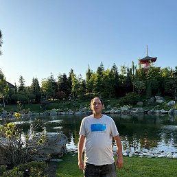 ���������, ����, 46 ���