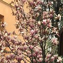 ���� �������, ������� - ��������� 10 ������� 2026 � ������ �������