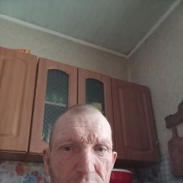 ��������, 46 ���, ����