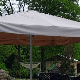 ���� ����, ���������, 42 ���� - ��������� 18 ������ 2025