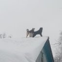 ���� ��������, �������, 65 ��� - ��������� 6 ����� 2025 � ������ ���� ����������