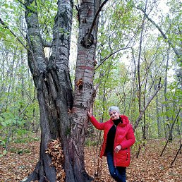 ���� ��������, ������������, 63 ���� - ��������� 20 ��� 2025