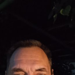 , 44, 