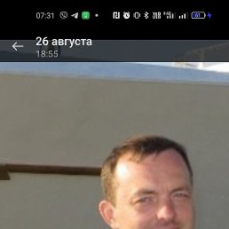 , 43,  