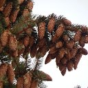 ���� �����, ����, 25 ��� - ��������� 5 ������ 2024 � ������ ���� ����������