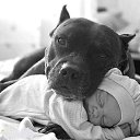 ���� ����, ������, 28 ��� - ��������� 1 ������ 2024