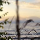 ���� ������, ����, 48 ��� - ��������� 31 ��� 2024 � ������ ������, ������, ������