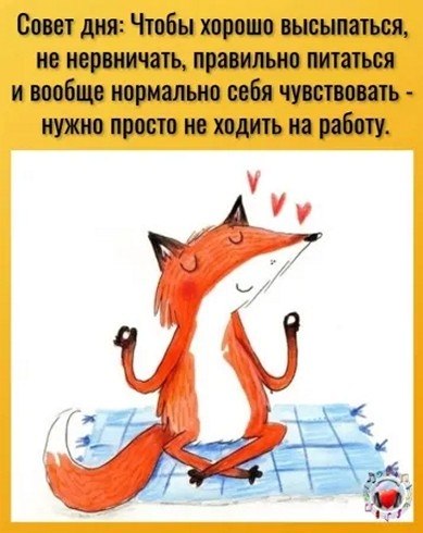 ☆Лучшие шутки☆ - 17 сентября 2025 в 04:18