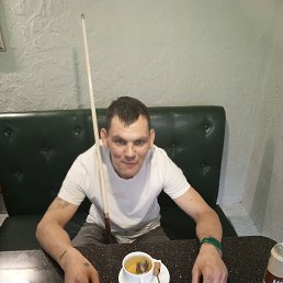 �����, 41 ���, ������