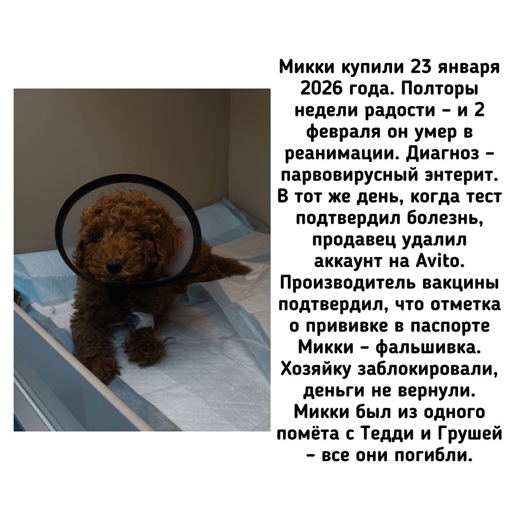 �� - ������������ ������ ������������ �� �������� ��������� (��������) �� ������ ����� (���������� ... - 2