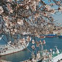 ���� �������, ������, 45 ��� - ��������� 21 ������ 2024 � ������ ���� ����������