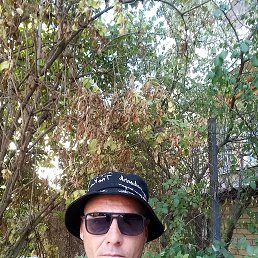 , 40, 