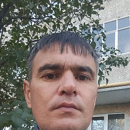 , 39, 