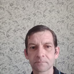 �����, 40 ���, ���������