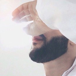 �����������, ������, 23 ����