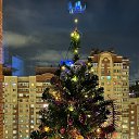 ����� ���! 31.12.25� �� ������� ������ ��������