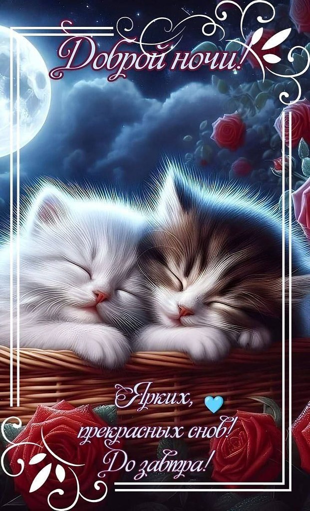   ,    . - 24  2025  21:58 - 4