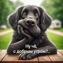 ���� �������, ������, 51 ��� - ��������� 18 ������� 2026
