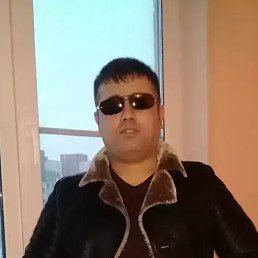 ���������, �����-���������, 41 ���