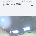 ���� ����, ������, 33 ���� - ��������� 11 ��� 2026 � ������ ���� ����������