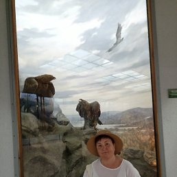 ���� ����, ���������, 56 ��� - ��������� 4 ������ 2026