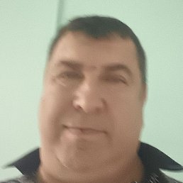 ������, ����, 58 ���