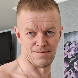 ����, ������, 41 ���