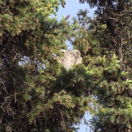 �����, ������-�������, 20 ���