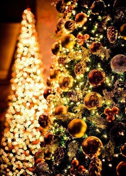 ����� � ������ - 3 ������ 2026 � 21:23