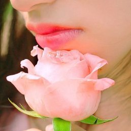 ���� �����, ����������, 48 ��� - ��������� 20 ������� 2024