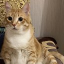 ���� �����, �����-��������� - ��������� 6 ������ 2025 � ������ ������ ��������