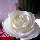 ���� &hearts;�������&hearts;, ���� - ��������� 23 ������ 2026 � ������ ���� ����������
