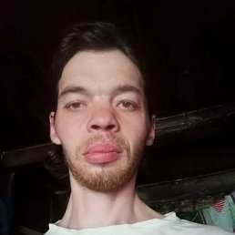 , 29, 