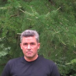 , 53, 