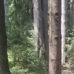 �����, ������, 39 ���