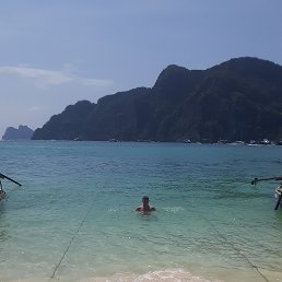 ���� �����, ������, 42 ���� - ��������� 20 ������ 2026