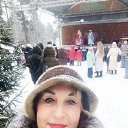 ���� ������, ����, 71 ��� - ��������� 13 ������ 2026 � ������ ���� ����������