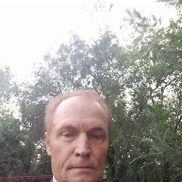  , 58 , 