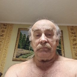 , 71, 