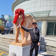 ��������, 65 ���, �������