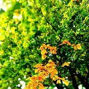 ���� ������, ����� - ��������� 10 ���� 2026 � ������ ���� ����������