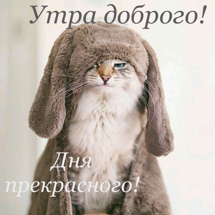 , !!!)