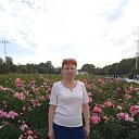 ���� �������, ������, 56 ��� - ��������� 21 ������� 2026 � ������ ���� ����������