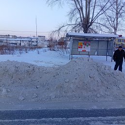 ���� ������, ������, 53 ���� - ��������� 15 ����� 2026