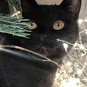 ���� Mark, ����������� - ��������� 12 ������ 2025 � ������ ������ ��������