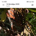  , , 43  -  27  2023    