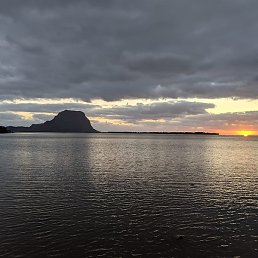 ����, ������, 66 ���