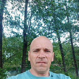 ������, 47 ���, ������