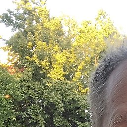 Sergey, ����������, 43 ����