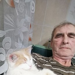 ��������, ������, 69 ���